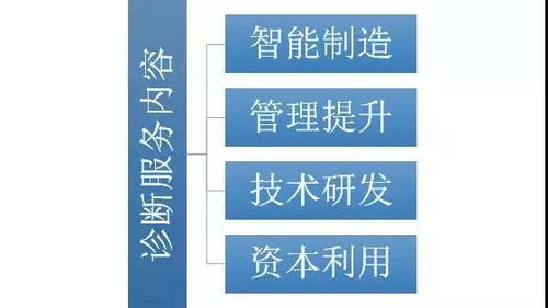 我市啟動倍增企業全方位全流程診斷服務，助力網絡技術研發及技術服務企業高質量發展