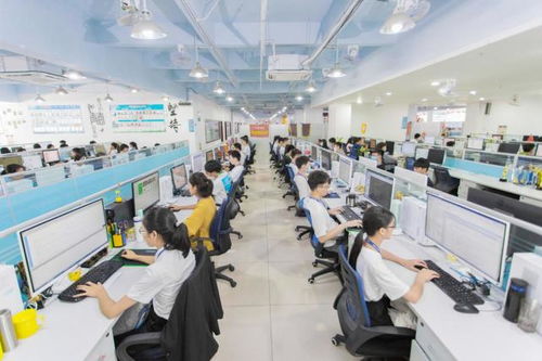 湛藍(lán)科技朝陽服務(wù)寶 以技術(shù)創(chuàng)新驅(qū)動(dòng)，樹立店鋪代運(yùn)營行業(yè)新標(biāo)桿